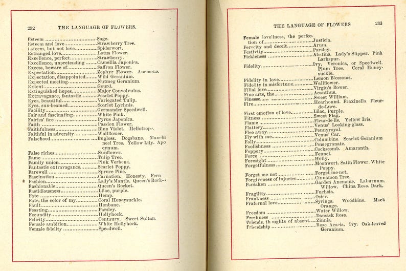 May include: Two-page spread from an antique book titled "The Language of Flowers." The pages are aged with text in black ink, listing flower meanings. The pages have a red border.