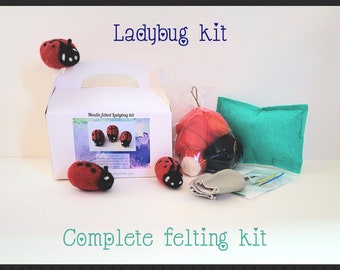 Ladybug Needle felt kit beginner