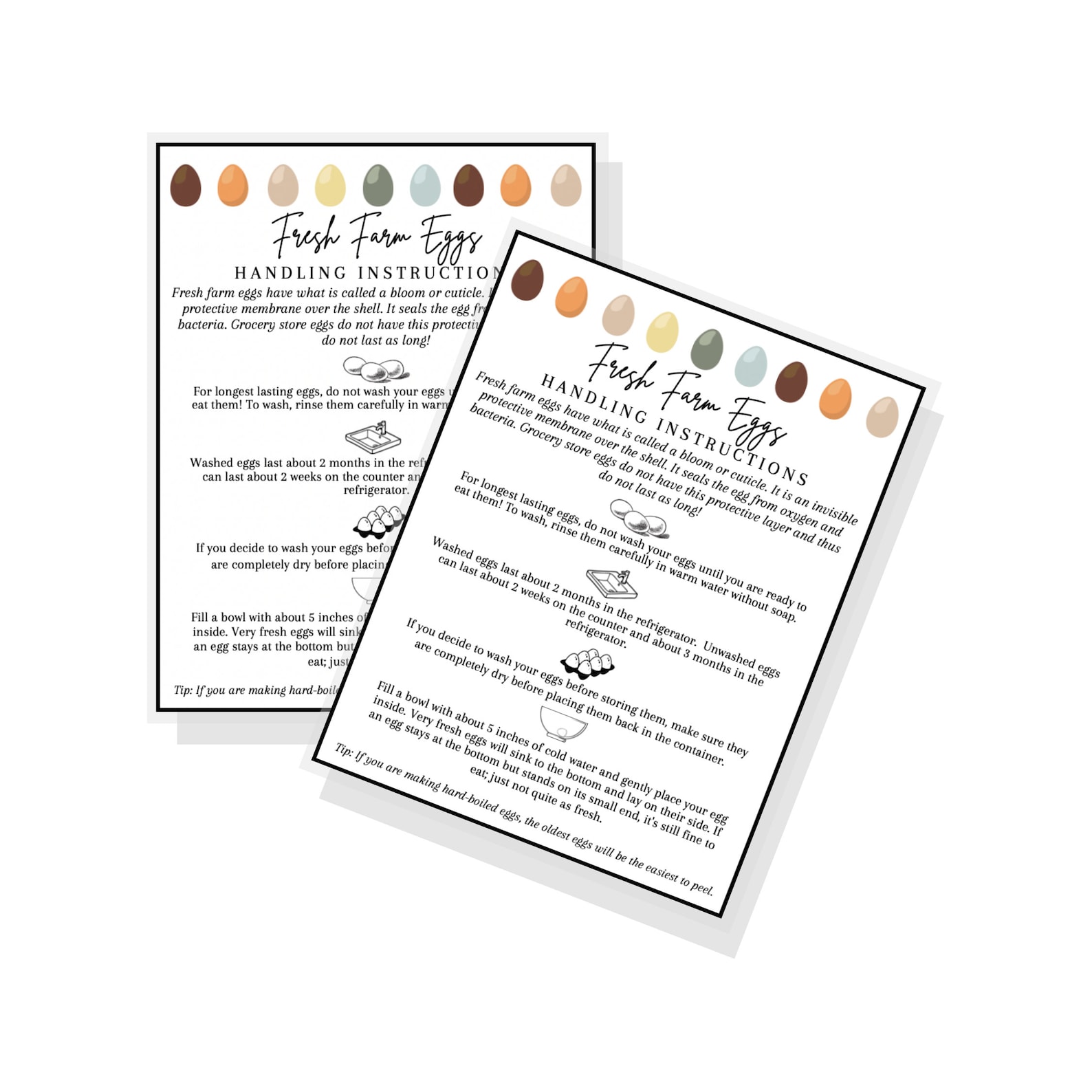 Fresh Farm Eggs Handling Instructions Multiples Sheet Print - Etsy