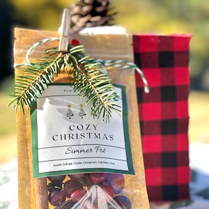 May include: A small brown paper bag with a white label that says "Cozy Christmas Simmer Pot" and lists the ingredients: apple, orange, cloves, cinnamon, cranberry, and pine. The bag is tied with twine and a small pine sprig. Inside the bag are red cranberries, cinnamon sticks, and other spices.