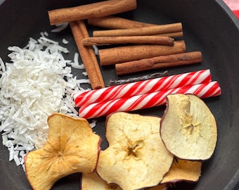 North Pole Simmer Pot Kit, Dried Fruit & Spices, Home Fragrance