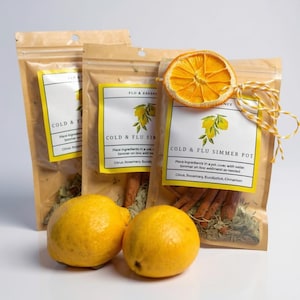 Simmer Pots, Stovetop Potpourri, Cold and Flu, Simmer Pots, Dried Fruits, Gifts afbeelding 10