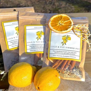 Simmer Pots, Stovetop Potpourri, Cold and Flu, Simmer Pots, Dried Fruits, Gifts afbeelding 9