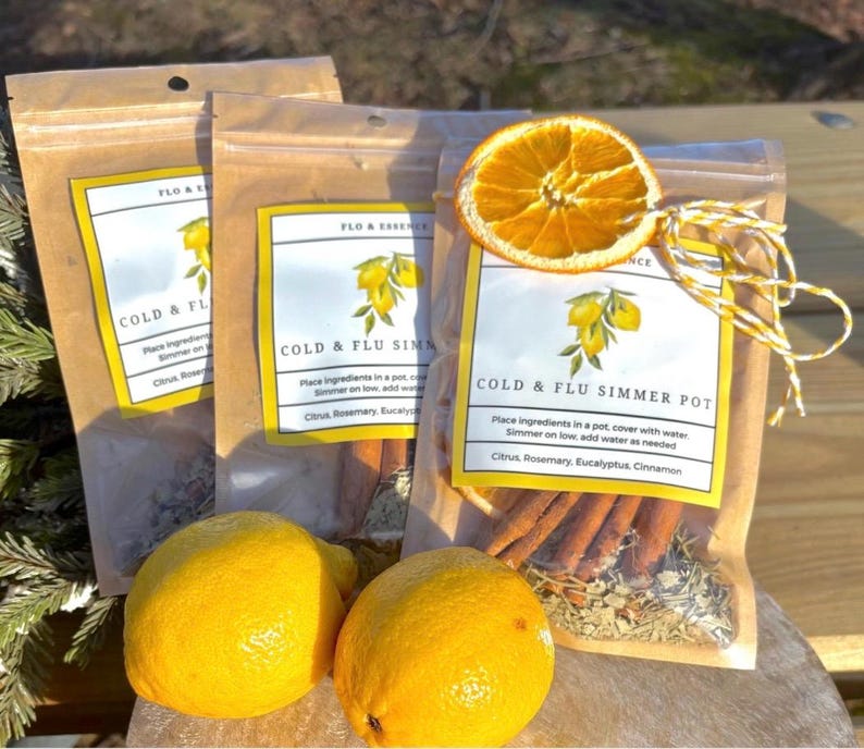 Simmer Pots, Stovetop Potpourri, Cold and Flu, Simmer Pots, Dried Fruits, Gifts afbeelding 9