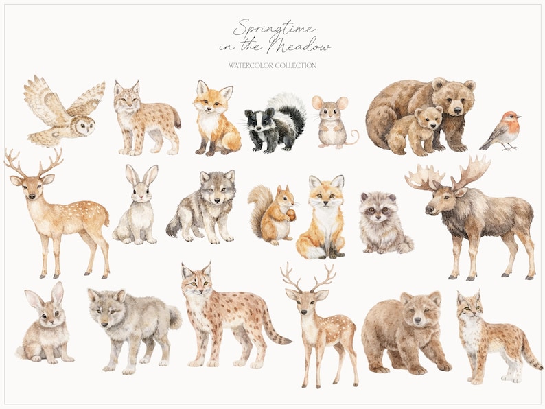 以下が含まれることがあります： フクロウ、キツネ、クマ、シカ、リスなど、森の動物のコレクションを描いた水彩イラスト。アートワークは柔らかく自然な色使いで、上部に「Springtime in the Meadow」というテキストがあります。