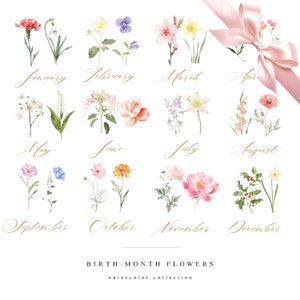 Geboortemaand bloemen collectie - aquarel geboorte bloemen Clipart Set - Clipart collectie