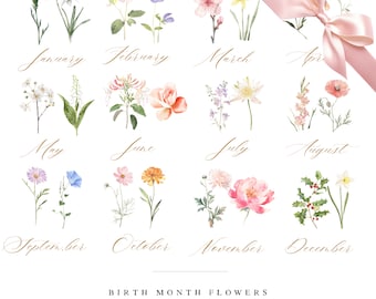 May include: A watercolor illustration of birth month flowers. Each month is represented by a different flower, with the month name written in gold script above each flower. The flowers are arranged in a grid pattern, with a pink ribbon bow in the upper right corner.