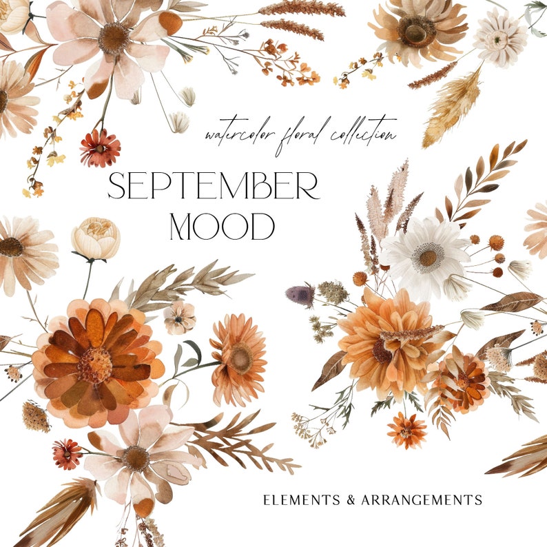 K&ouml;nnte beinhalten: Aquarell-Blumenkollektion mit dem Text "SEPTEMBER MOOD" und "ELEMENTS & ARRANGEMENTS". Die Illustration zeigt eine Vielzahl von Blumen in Braun-, Wei&szlig;- und Beiget&ouml;nen, darunter G&auml;nsebl&uuml;mchen, Sonnenblumen und andere Wildblumen.