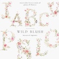 Wild Flowers Alphabet - Wild Flowers Letters - Blush Floral Alphabet - Floral Alphabet - Adorned Letters product logo
