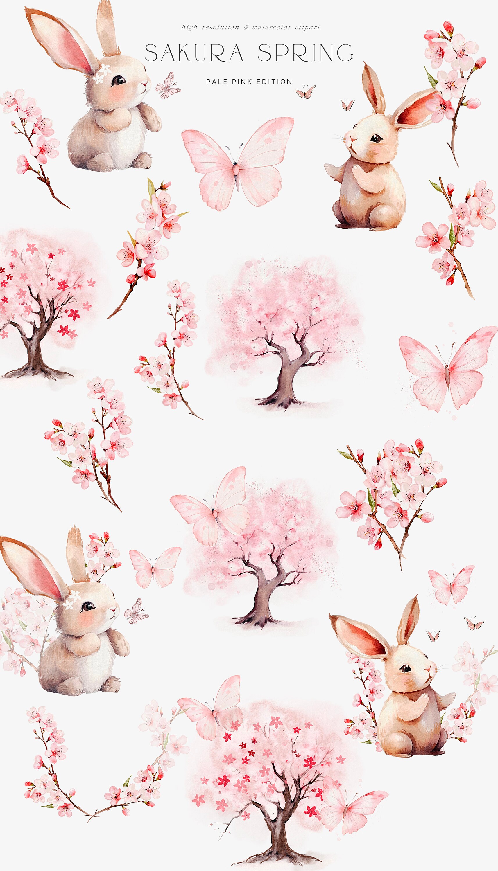 Watercolor Cherry Blossom Spring Clipart - Bunnies - Spring Clipart ...