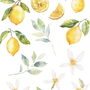 May include: Watercolor illustration of lemon blossoms, leaves, and lemons. The illustration is part of a watercolor floral collection.
