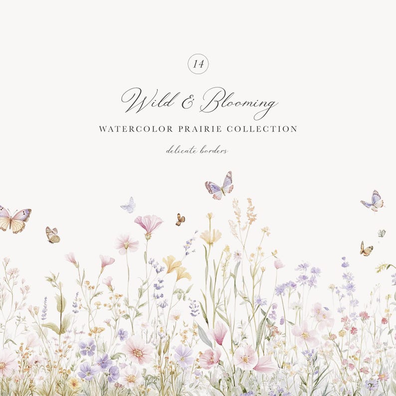 Prairie Border Watercolor Wild Flower Collection of Prairie Borders - Watercolor ...