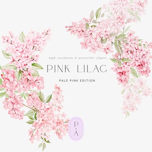 Conjunto de imágenes prediseñadas de acuarela lila rosa - Imágenes prediseñadas lilas - Flores de primavera - Imágenes prediseñadas de primavera - Florales rosas polvorientos - Imágenes prediseñadas de boda - Florales