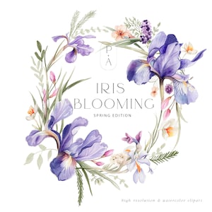 Clipart Iris acquerello - Arrangiamenti Iris - Fiori Iris - Fiori primaverili - Clipart primaverile - Collezione primaverile