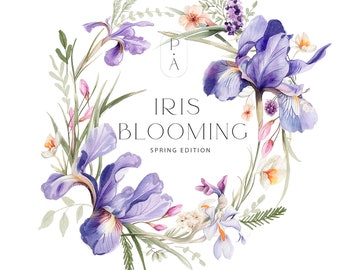 Watercolor Iris Clipart - Iris Arrangements - Iris flowers - Spring Flowers - Spring Clipart - Spring Collection