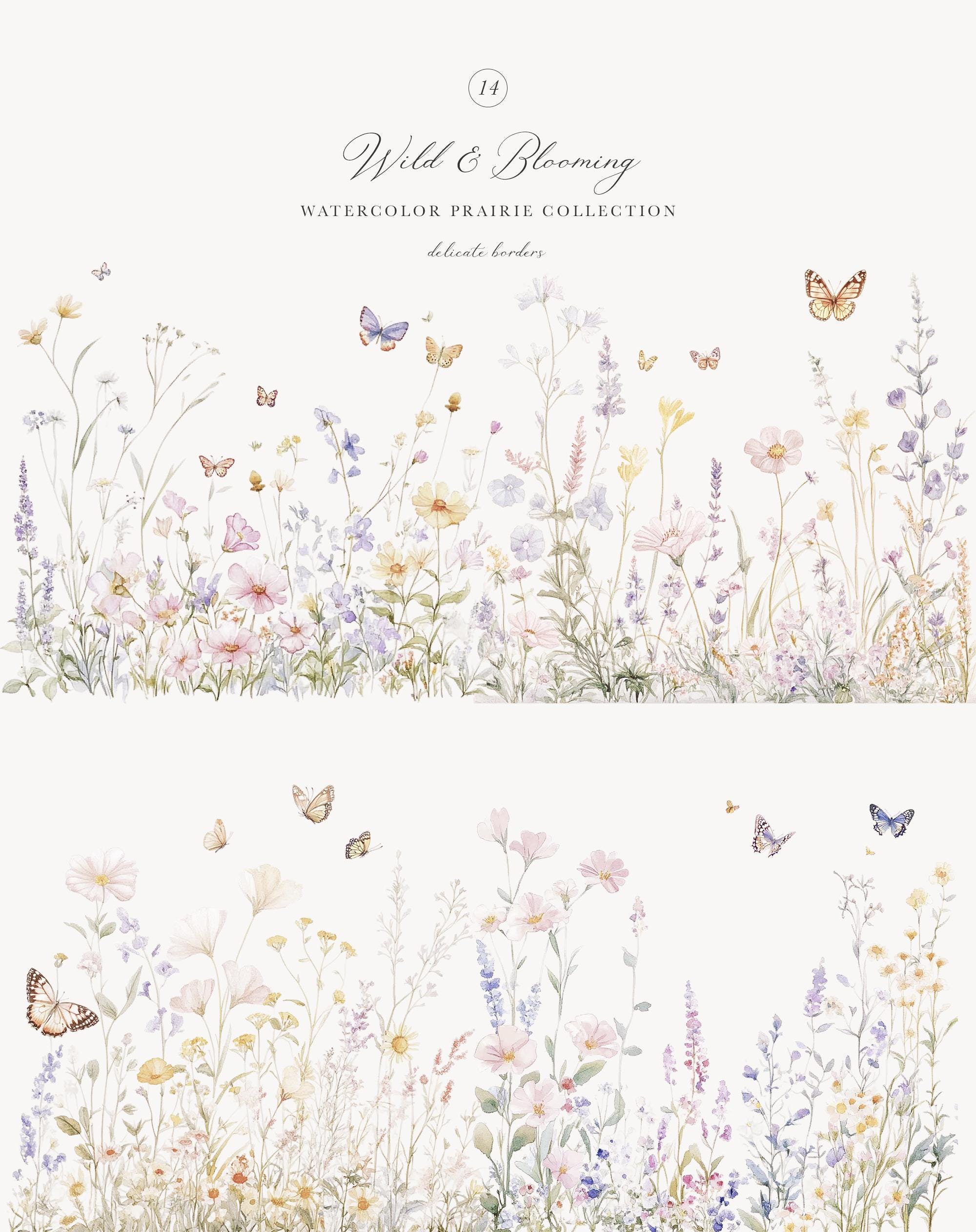Prairie Border Watercolor Wild Flower Collection of Prairie Borders - Watercolor ...