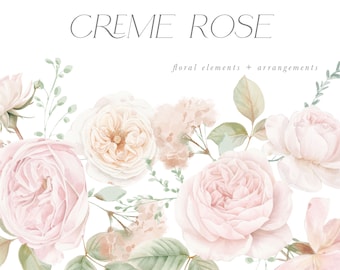 Creme & Blush Rose Clipart - Rose Watercolor Clipart - Rose Elements - Wedding Clipart - Creme Rose - Rose Bouquet - Unlimited Sales License