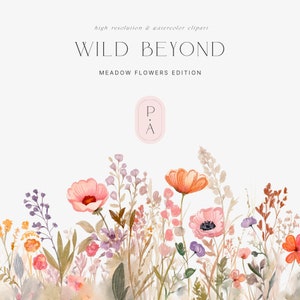 Wilde Blumen Clipart - Florale Cliparts - Wiesenblumen - Wild - Hochzeits Clipart - Einladung Clipart - unbegrenzte Verkaufslizenz