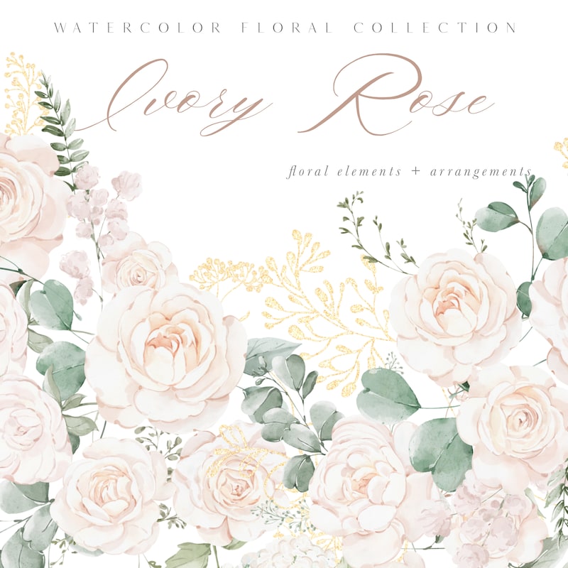 Watercolour Ivory Rose Etsy Canada