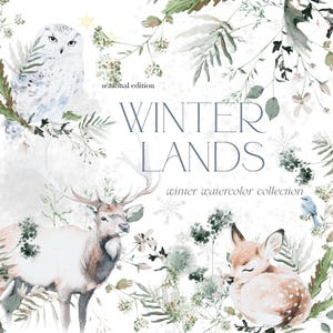 Winter Tiere Clipart - Winterkollektion - Pflanzenarrangements - Schneeflocken - Frost - Goldene Schneeflocken - unlimitierte Verkaufslizenz