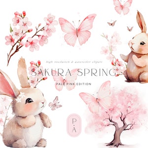 Aquarell Kirschblüte Frühling Clipart - Hasen - Frühling Clipart - Kirschblüte Clipart - Sakura Bäume - Frühling Bäume - unbegrenzte Verkäufe