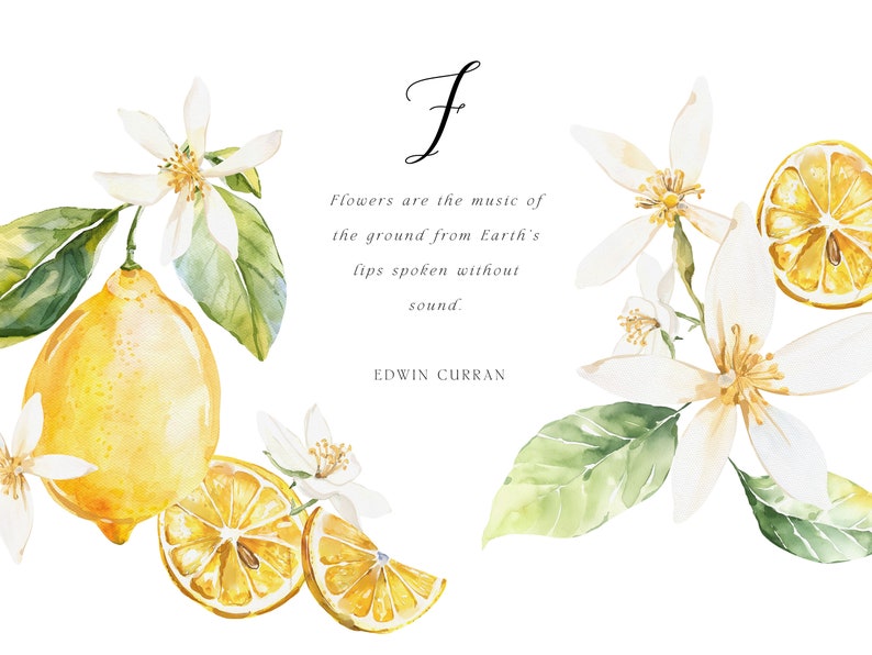 May include: Watercolor painting of white flowers and yellow lemons with green leaves. The quote "Flowers are the music of the ground from Earth's lips spoken without sound." by Edwin Curran is written in black text.