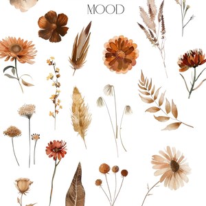 K&ouml;nnte beinhalten: Aquarell-Blumenkollektion mit dem Text "SEPTEMBER MOOD". Die Kollektion zeigt verschiedene Blumen, Bl&auml;tter und Gr&auml;ser in Braun-, Beige- und Oranget&ouml;nen.