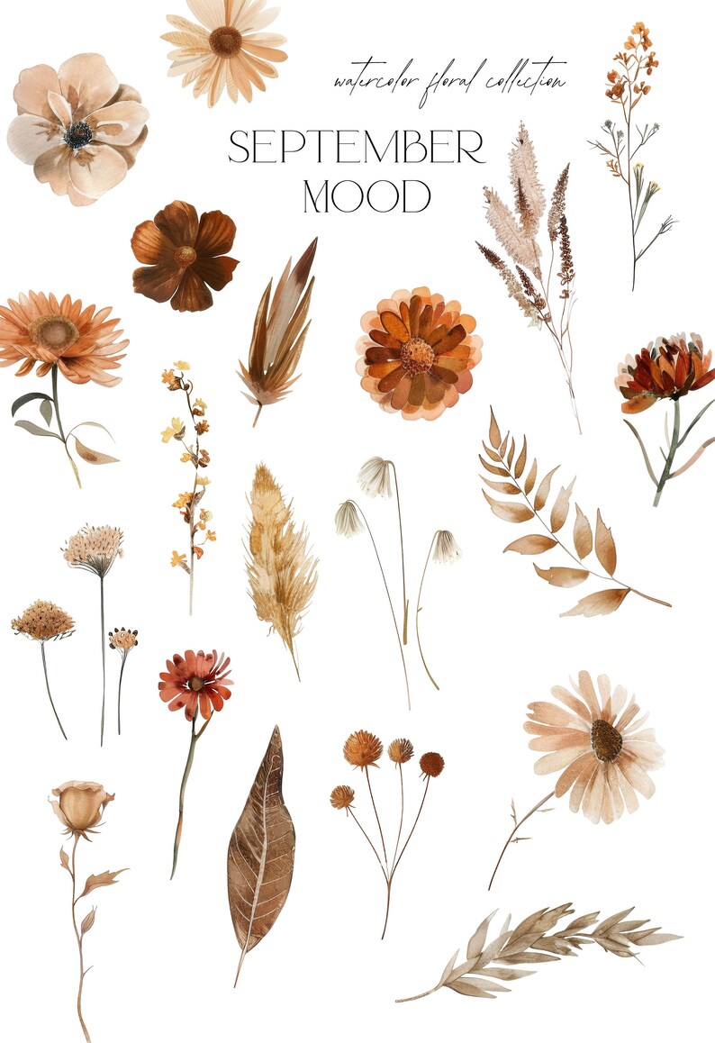 K&ouml;nnte beinhalten: Aquarell-Blumenkollektion mit dem Text "SEPTEMBER MOOD". Die Kollektion zeigt verschiedene Blumen, Bl&auml;tter und Gr&auml;ser in Braun-, Beige- und Oranget&ouml;nen.