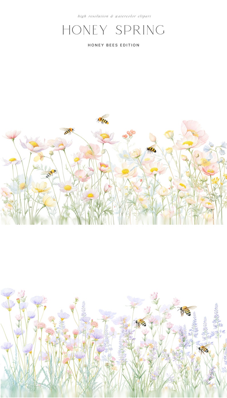 May include: Watercolor illustration of a field of pink and white flowers with bees flying around. The text "Honey Spring Honey Bees Edition" is at the top of the image.