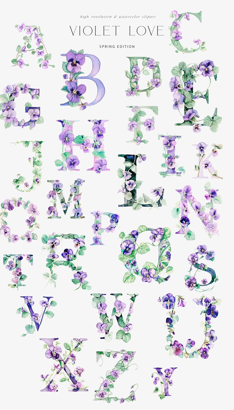 Voiolet Lettering Violet Spring Watercolor Clipart - Watercolor Violets - Violet Flowers ...