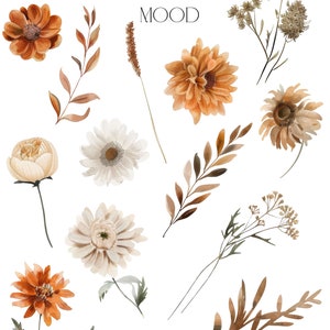 K&ouml;nnte beinhalten: Aquarell-Blumenillustrationen in Braun-, Wei&szlig;- und Cremet&ouml;nen. Die Illustrationen umfassen verschiedene Blumen, Bl&auml;tter und Stiele. Der Text "SEPTEMBER MOOD" ist in braunen Buchstaben oben im Bild geschrieben.