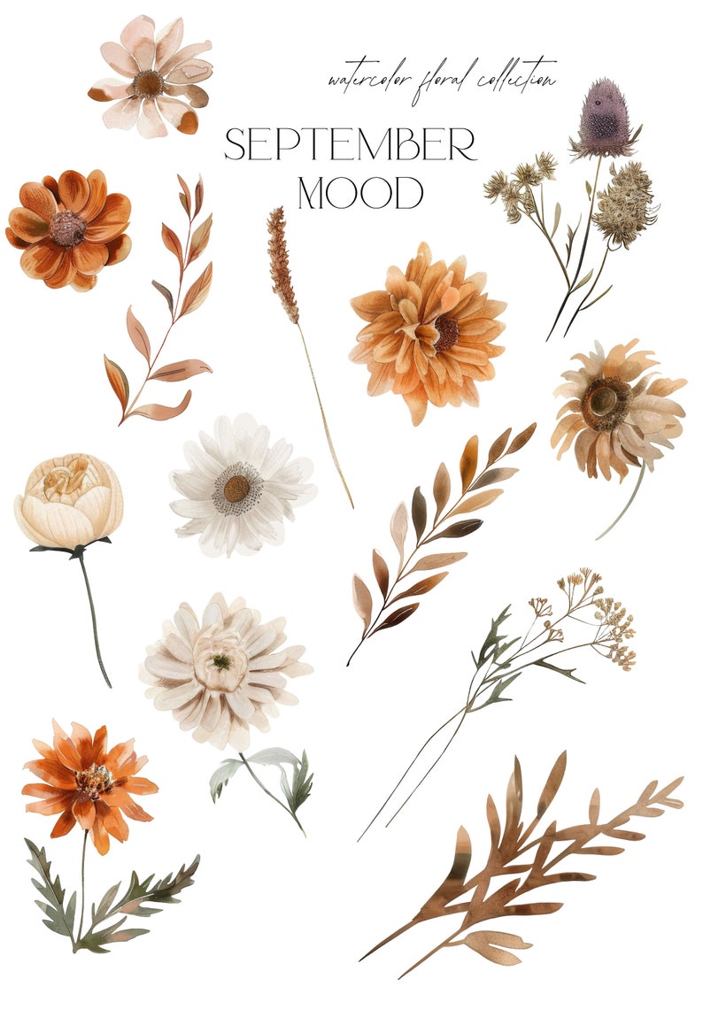 K&ouml;nnte beinhalten: Aquarell-Blumenillustrationen in Braun-, Wei&szlig;- und Cremet&ouml;nen. Die Illustrationen umfassen verschiedene Blumen, Bl&auml;tter und Stiele. Der Text "SEPTEMBER MOOD" ist in braunen Buchstaben oben im Bild geschrieben.