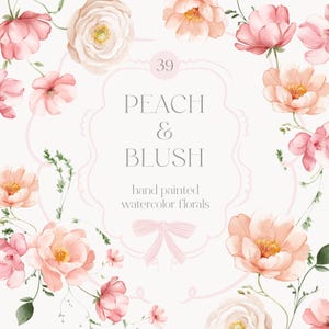 Peach & Blush Floral Kollektion - Kokette Bögen und Bänder - Florale Elemente - Ribbon Line Art - Blumenrahmen - Ribbon Frames - Aquarell