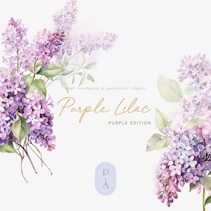 Imágenes Prediseñadas de acuarela lila púrpura - Imágenes Prediseñadas lila - Lila acuarela - Imágenes Prediseñadas de primavera - Flores de primavera - Licencia de venta ilimitada