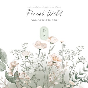 Forest Wildflowers aquarel clipart - Wildflower clipart set - bloemenelementen - bosbloemen - bloemenranden - onbeperkte verkooplicentie