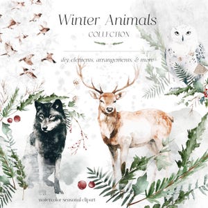 Clipart de animais de inverno e neve - Clipart de inverno - Vegetação de inverno - Elementos de vegetação - Arranjos - Buquês - Licença de vendas ilimitada
