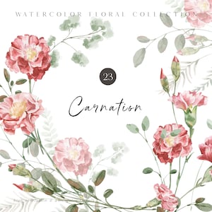 Anjer bloemen clipart - bloemenelementen - aquarel anjers - aquarel elementen - arrangementen - bruiloft - onbeperkte verkooplicentie