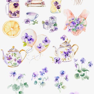 Violet Spring Watercolor Clipart - Watercolor Violets - Violet Flowers ...