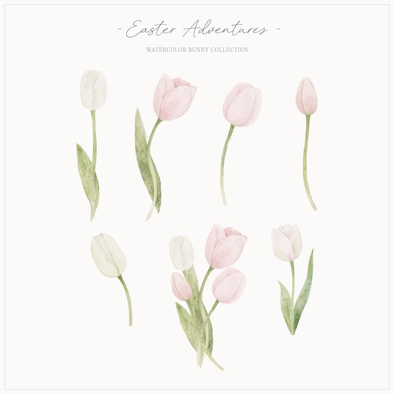 Op de afbeelding: Waterverfillustratie van tulpen in wit en roze, met groene stelen en bladeren. De tekst "Easter Adventures" en "Watercolor Bunny Collection" staat bovenaan de afbeelding.