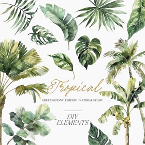 Clipart di verde tropicale dell'acquerello - Palme dell'acquerello - Piante tropicali dell'acquerello - Foglie verdi - Clipart verde
