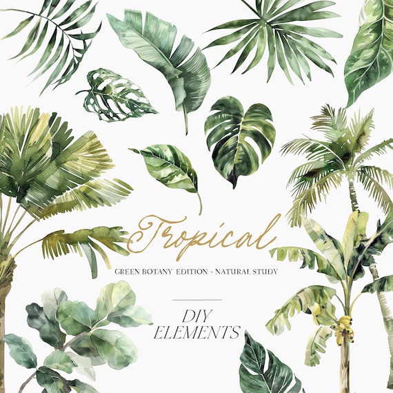 Watercolor Tropical Greenery Clipart - Watercolor Palms - Watercolor Tropical Plants - Green Leaves - Greenery Clipart
