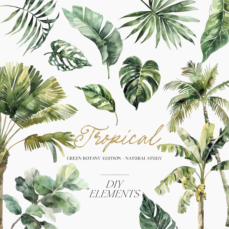 May include: A collection of watercolor illustrations of tropical plants, including palm trees, monstera leaves, banana leaves, and other foliage. The illustrations are in shades of green and are arranged in a random pattern on a white background. The text "Tropical Green Botany Edition - Natural Study DIY Elements" is written in gold lettering at the bottom of the image.