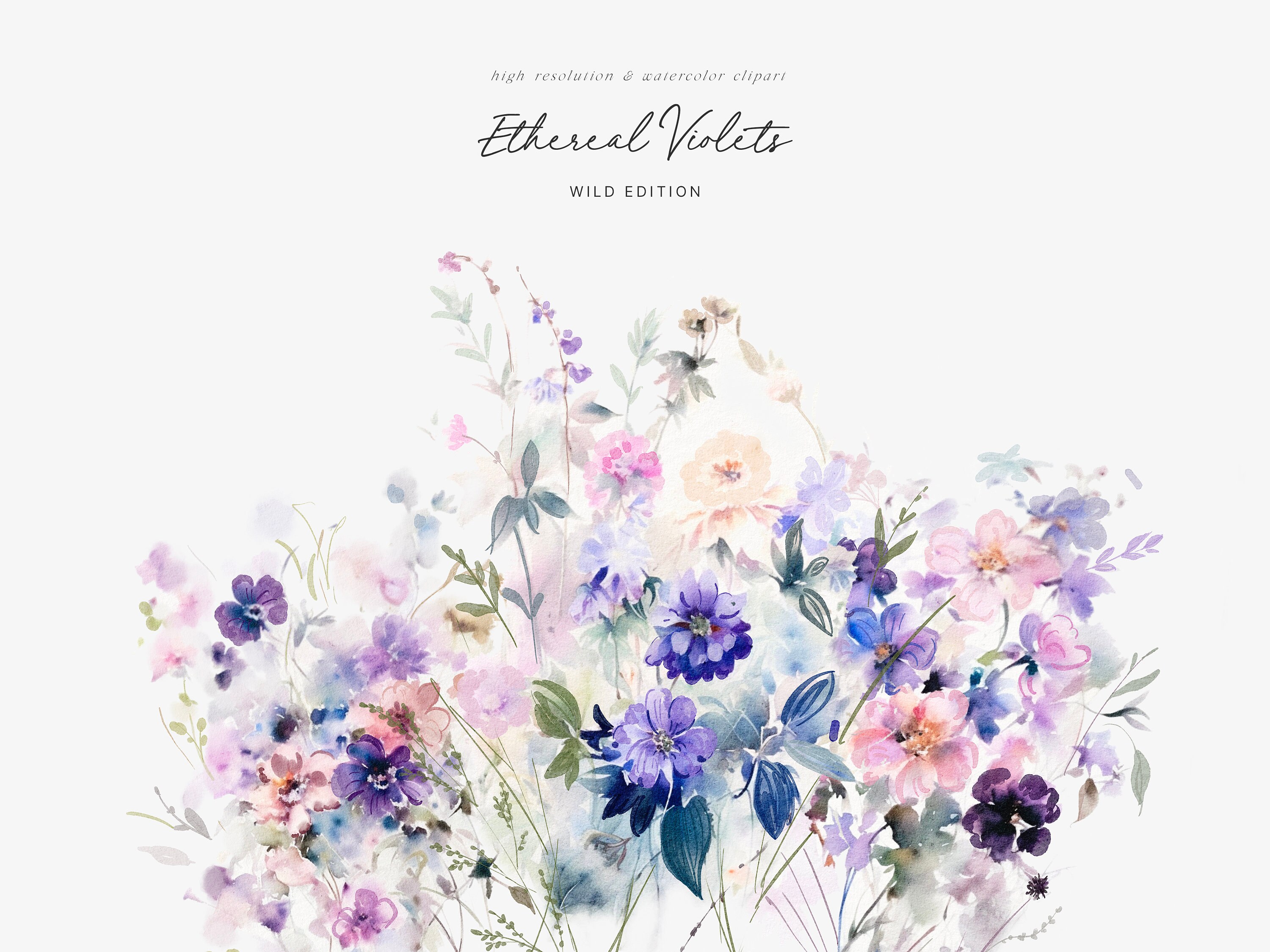 Spring Vciolet Watercolor Violet Clipart - Spring Violet Clipart - Violet Flowers ...