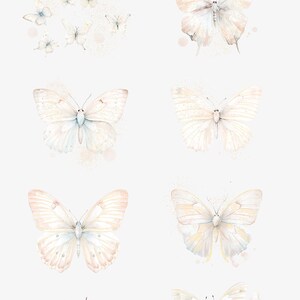 Pu&ograve; includere: Un set di otto illustrazioni ad acquerello di farfalle avorio e oro. Le farfalle sono in varie pose e hanno un aspetto delicato ed etereo. Le illustrazioni sono perfette per aggiungere un tocco di fantasia a qualsiasi progetto.