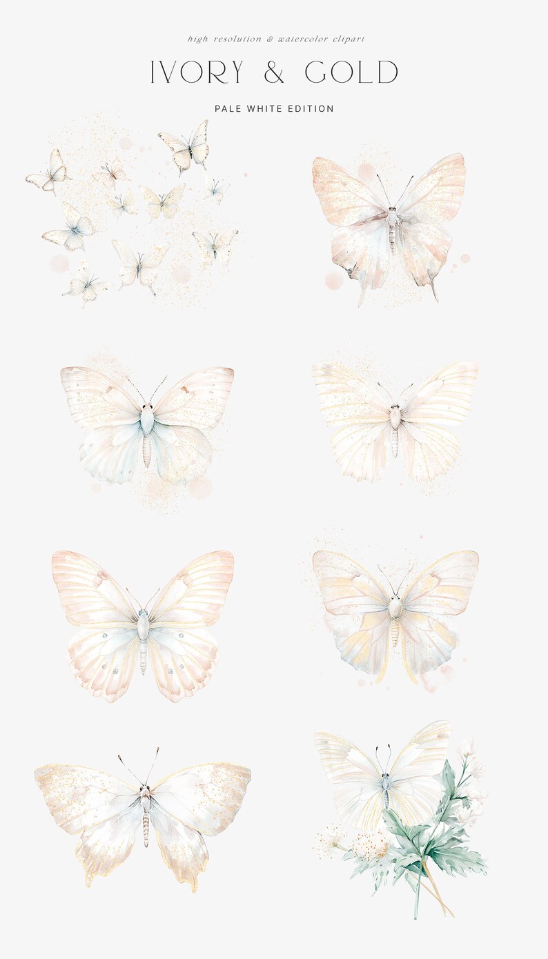 Pu&ograve; includere: Un set di otto illustrazioni ad acquerello di farfalle avorio e oro. Le farfalle sono in varie pose e hanno un aspetto delicato ed etereo. Le illustrazioni sono perfette per aggiungere un tocco di fantasia a qualsiasi progetto.