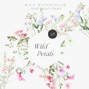 Aquarelle fleurs sauvages pastel - éléments floraux - bordures florales - arrangements - clipart fleurs des prés