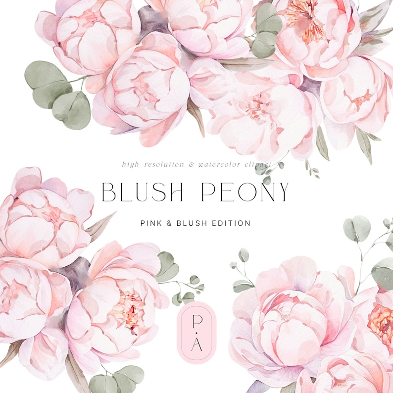 Watercolor Blush Peonies Clipart - Peonies Clipart - Dusty Pink - Blush ...