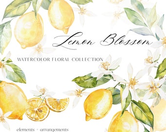 Lemon Blossom Clipart - Lemon Clipart Set - Floral Clipart Set - Lemon Flowers - Floral Bouquets - Floral Elements - Unlimited Sales License