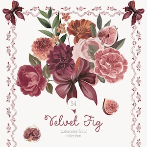 Könnte beinhalten: Aquarell-Blumenarrangement mit einem Bouquet aus Rosen, Dahlien und Feigen in Burgunder-, Pfirsich- und Rosatönen. Das Design umfasst eine große Schleife und einen dekorativen Rand. Text: "Velvet Fig" und "watercolor floral collection".