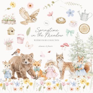 Puede incluir: Ilustración en acuarela con animales del bosque, flores y otros elementos primaverales. La imagen incluye un oso, un zorro, un conejo, una ardilla y un lince, junto con un búho, un pájaro y mariposas. El texto dice "Springtime in the Meadow, Watercolor Collection."